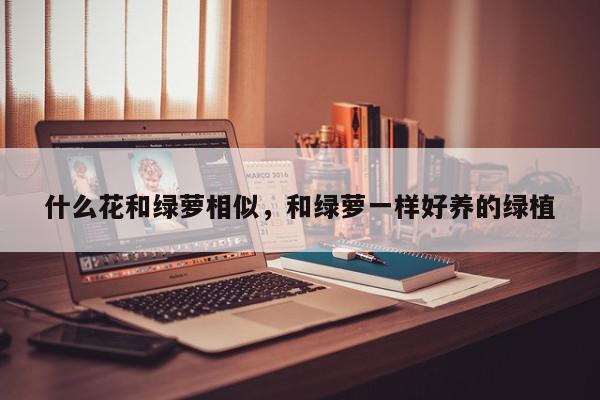 什么花和绿萝相似，和绿萝一样好养的绿植-第1张图片-我家生活百科