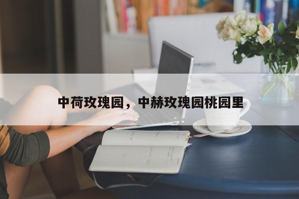 中荷玫瑰园，中赫玫瑰园桃园里-第1张图片-我家生活百科