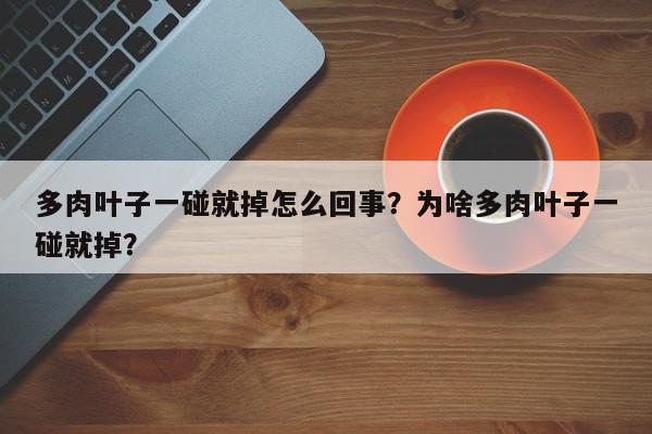 多肉叶子一碰就掉怎么回事？为啥多肉叶子一碰就掉？-第1张图片-我家生活百科