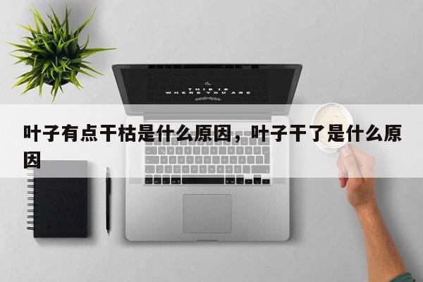 叶子有点干枯是什么原因，叶子干了是什么原因-第1张图片-我家生活百科