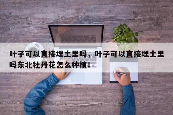 叶子可以直接埋土里吗，叶子可以直接埋土里吗东北牡丹花怎么种植！-第1张图片-我家生活百科