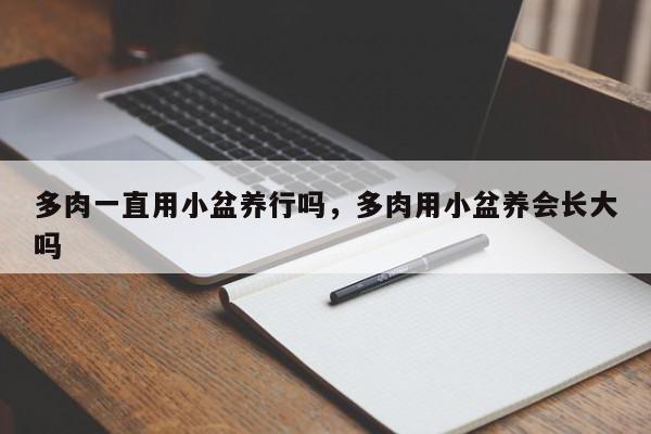 多肉一直用小盆养行吗，多肉用小盆养会长大吗-第1张图片-我家生活百科