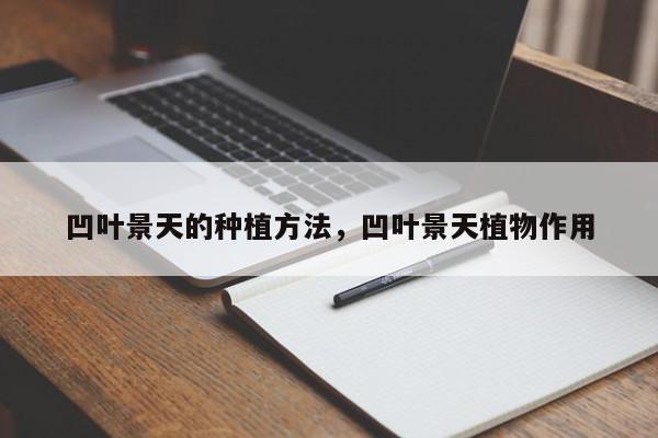 凹叶景天的种植方法，凹叶景天植物作用-第1张图片-我家生活百科