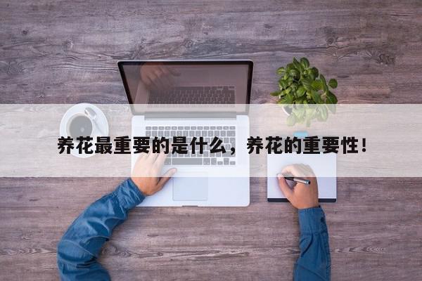 养花最重要的是什么，养花的重要性！-第1张图片-我家生活百科