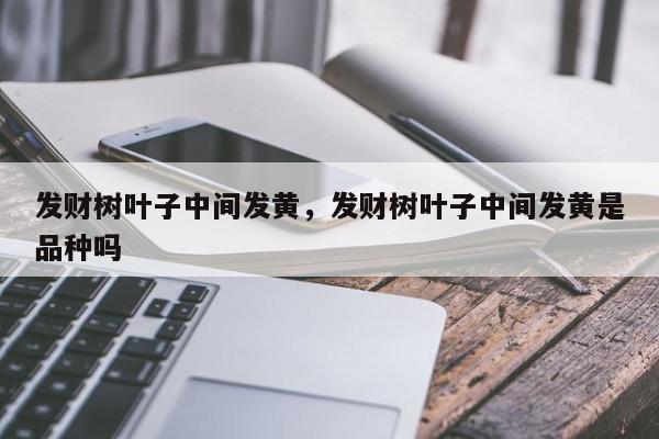 发财树叶子中间发黄，发财树叶子中间发黄是品种吗-第1张图片-我家生活百科