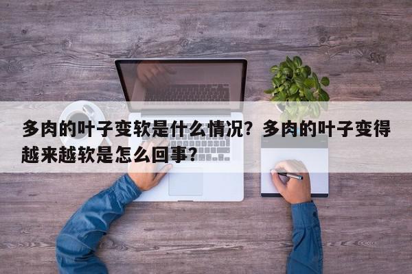 多肉的叶子变软是什么情况？多肉的叶子变得越来越软是怎么回事？-第1张图片-我家生活百科