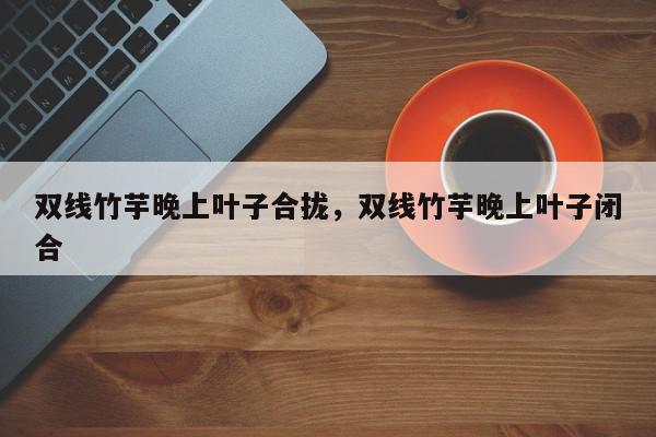 双线竹芋晚上叶子合拢，双线竹芋晚上叶子闭合-第1张图片-我家生活百科