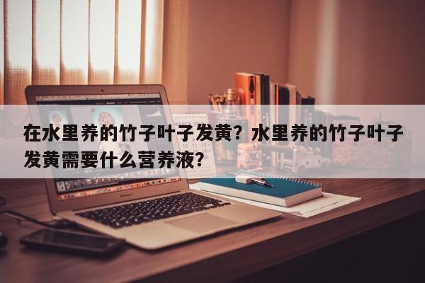在水里养的竹子叶子发黄？水里养的竹子叶子发黄需要什么营养液？-第1张图片-我家生活百科