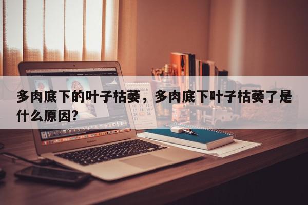 多肉底下的叶子枯萎，多肉底下叶子枯萎了是什么原因？-第1张图片-我家生活百科