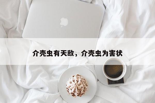 介壳虫有天敌，介壳虫为害状-第1张图片-我家生活百科