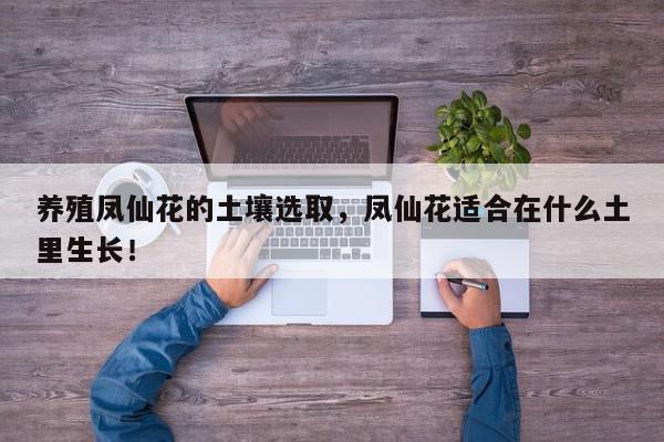 养殖凤仙花的土壤选取，凤仙花适合在什么土里生长！-第1张图片-我家生活百科