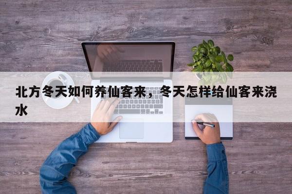 北方冬天如何养仙客来，冬天怎样给仙客来浇水-第1张图片-我家生活百科
