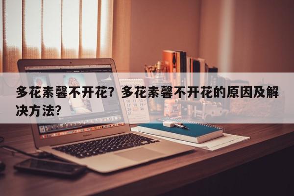 多花素馨不开花？多花素馨不开花的原因及解决方法？-第1张图片-我家生活百科
