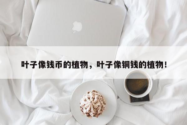 叶子像钱币的植物，叶子像铜钱的植物！-第1张图片-我家生活百科