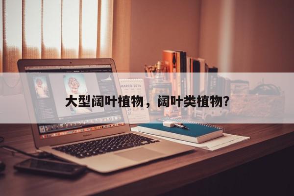 大型阔叶植物，阔叶类植物？-第1张图片-我家生活百科