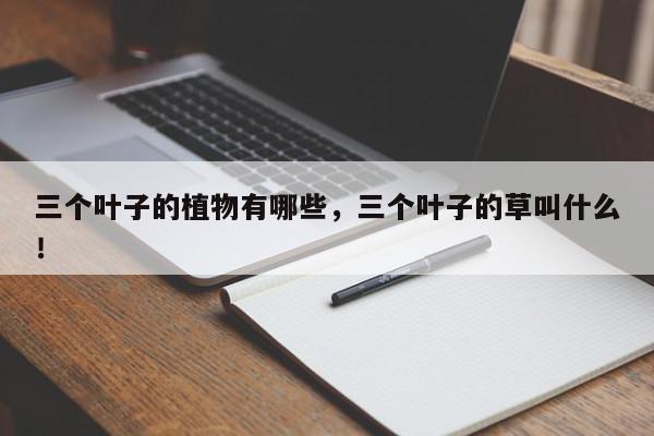 三个叶子的植物有哪些，三个叶子的草叫什么！-第1张图片-我家生活百科