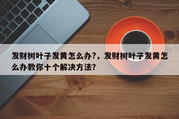 发财树叶子发黄怎么办?，发财树叶子发黄怎么办教你十个解决方法？-第1张图片-我家生活百科