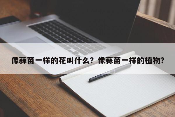 像蒜苗一样的花叫什么？像蒜苗一样的植物？-第1张图片-我家生活百科