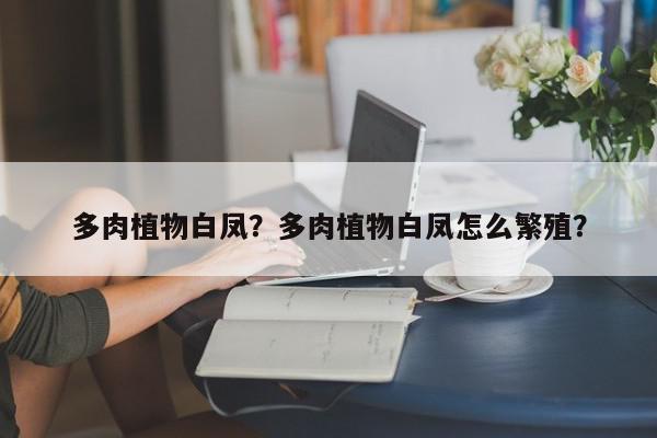 多肉植物白凤？多肉植物白凤怎么繁殖？-第1张图片-我家生活百科