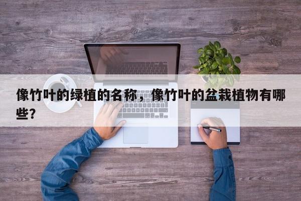 像竹叶的绿植的名称，像竹叶的盆栽植物有哪些？-第1张图片-我家生活百科