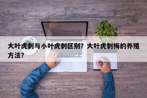 大叶虎刺与小叶虎刺区别？大叶虎刺梅的养殖方法？-第1张图片-我家生活百科