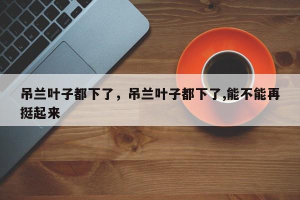 吊兰叶子都下了，吊兰叶子都下了,能不能再挺起来-第1张图片-我家生活百科