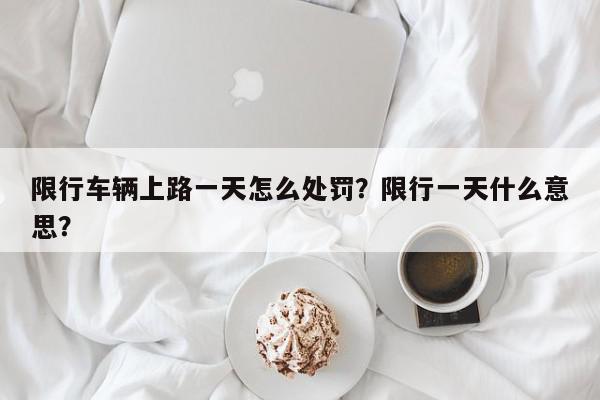 限行车辆上路一天怎么处罚？限行一天什么意思？-第1张图片-我家生活百科