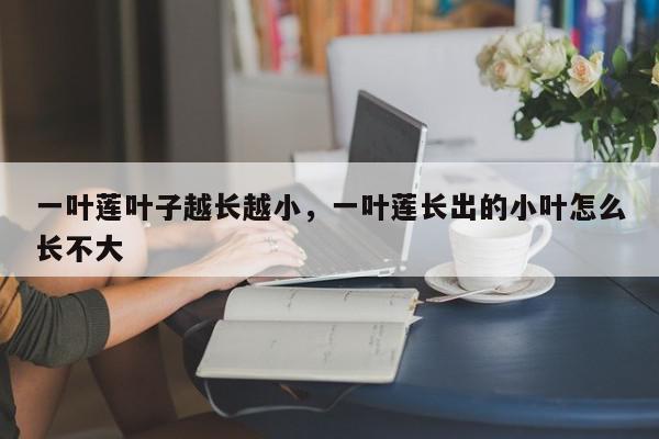 一叶莲叶子越长越小，一叶莲长出的小叶怎么长不大-第1张图片-我家生活百科