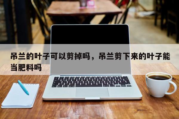 吊兰的叶子可以剪掉吗，吊兰剪下来的叶子能当肥料吗-第1张图片-我家生活百科