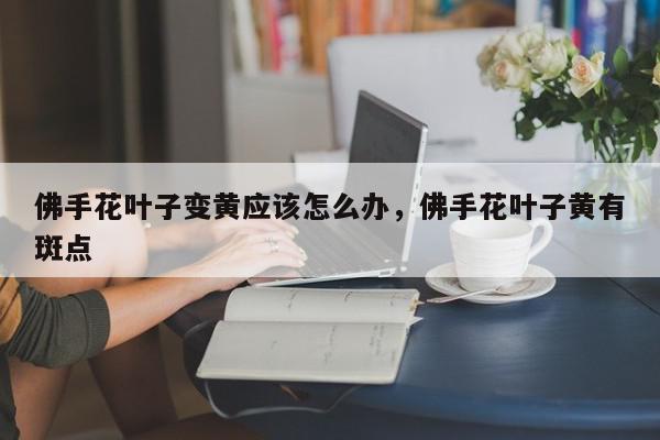 佛手花叶子变黄应该怎么办，佛手花叶子黄有斑点-第1张图片-我家生活百科