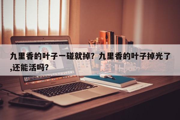 九里香的叶子一碰就掉？九里香的叶子掉光了,还能活吗？-第1张图片-我家生活百科