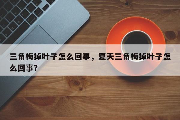 三角梅掉叶子怎么回事，夏天三角梅掉叶子怎么回事？-第1张图片-我家生活百科