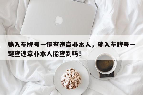 输入车牌号一键查违章非本人，输入车牌号一键查违章非本人能查到吗！-第1张图片-我家生活百科