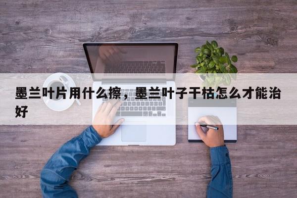 墨兰叶片用什么擦，墨兰叶子干枯怎么才能治好-第1张图片-我家生活百科
