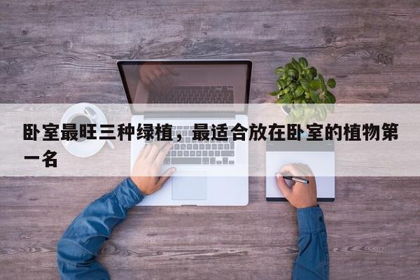 卧室最旺三种绿植，最适合放在卧室的植物第一名-第1张图片-我家生活百科