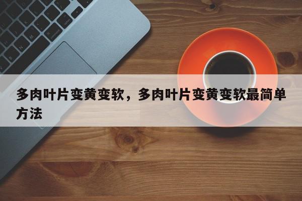 多肉叶片变黄变软，多肉叶片变黄变软最简单方法-第1张图片-我家生活百科