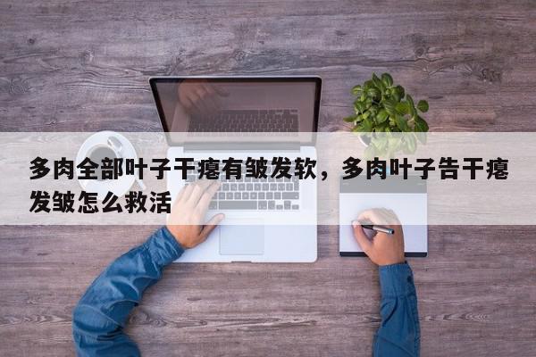 多肉全部叶子干瘪有皱发软，多肉叶子告干瘪发皱怎么救活-第1张图片-我家生活百科