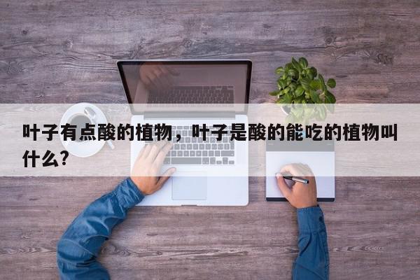 叶子有点酸的植物，叶子是酸的能吃的植物叫什么?-第1张图片-我家生活百科
