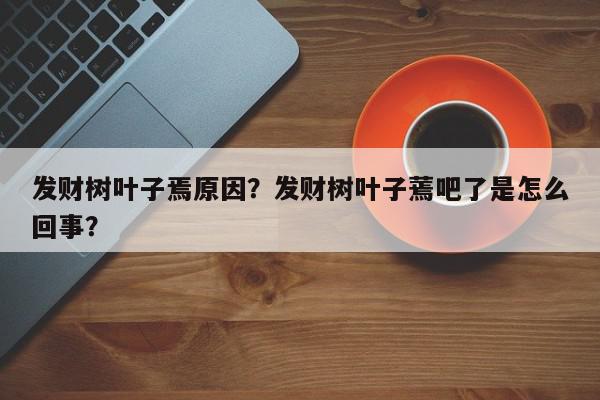 发财树叶子焉原因？发财树叶子蔫吧了是怎么回事？-第1张图片-我家生活百科