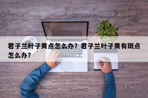 君子兰叶子黄点怎么办？君子兰叶子黄有斑点怎么办？-第1张图片-我家生活百科