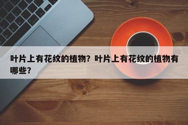 叶片上有花纹的植物？叶片上有花纹的植物有哪些？-第1张图片-我家生活百科
