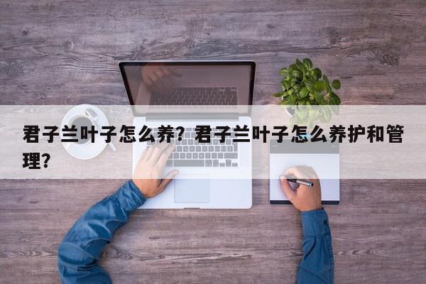 君子兰叶子怎么养？君子兰叶子怎么养护和管理？-第1张图片-我家生活百科