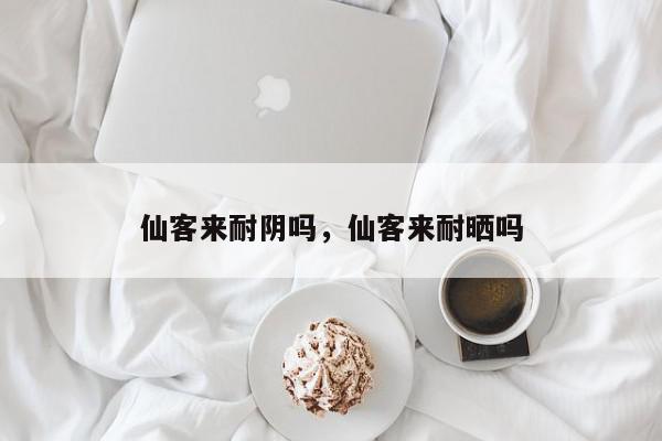 仙客来耐阴吗，仙客来耐晒吗-第1张图片-我家生活百科