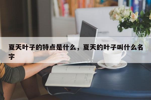 夏天叶子的特点是什么，夏天的叶子叫什么名字-第1张图片-我家生活百科