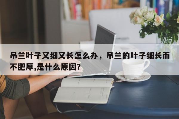 吊兰叶子又细又长怎么办，吊兰的叶子细长而不肥厚,是什么原因？-第1张图片-我家生活百科