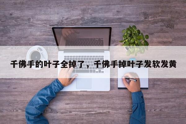 千佛手的叶子全掉了，千佛手掉叶子发软发黄-第1张图片-我家生活百科