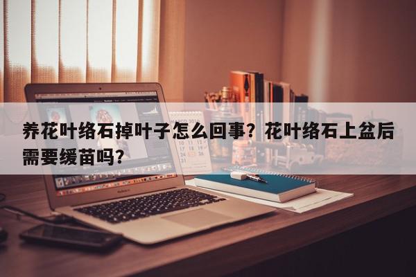 养花叶络石掉叶子怎么回事？花叶络石上盆后需要缓苗吗？-第1张图片-我家生活百科