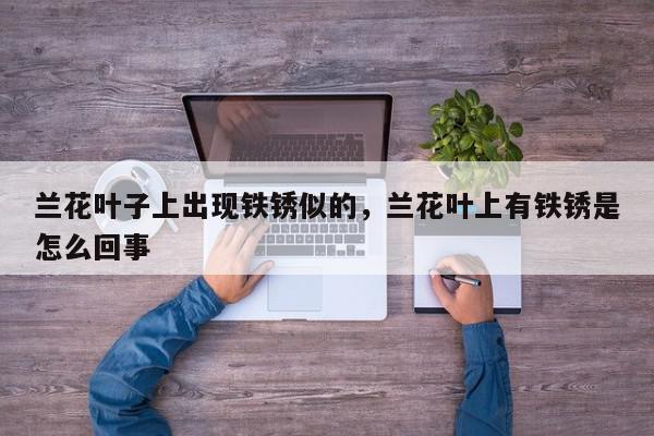 兰花叶子上出现铁锈似的，兰花叶上有铁锈是怎么回事-第1张图片-我家生活百科