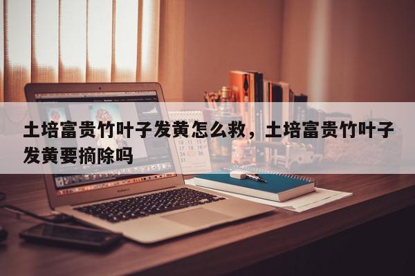 土培富贵竹叶子发黄怎么救，土培富贵竹叶子发黄要摘除吗-第1张图片-我家生活百科