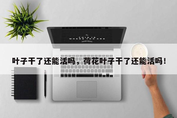 叶子干了还能活吗，荷花叶子干了还能活吗！-第1张图片-我家生活百科